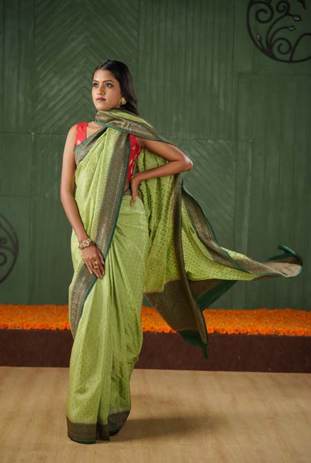 Green-dark green border crepe chiffon banarasi saree