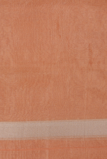 Pastel orange kora organza banarasi saree